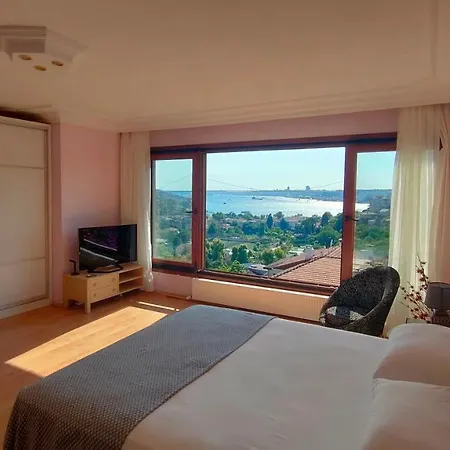 Unique & Quite, Bosphorus Villa, Great Sea View Patio,barbecue Villa Istanbul